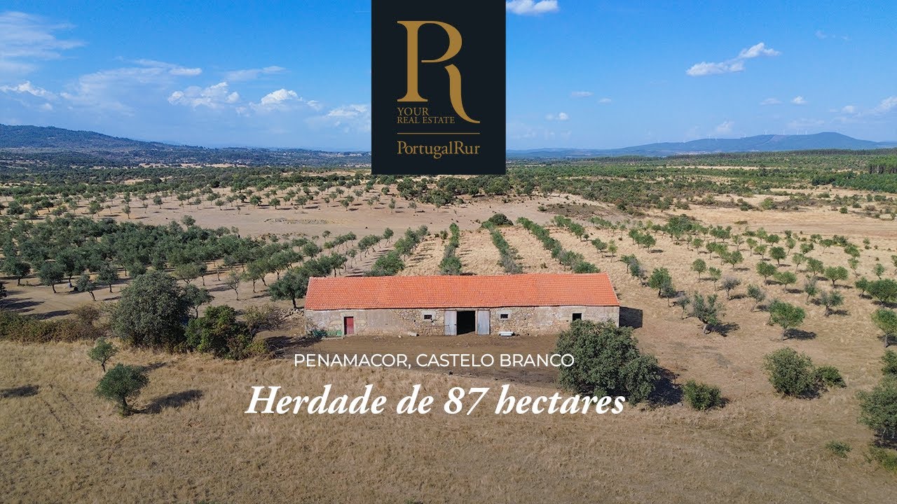 Herdade Agropecuária de 87 hectares em Penamacor | REF. IM775