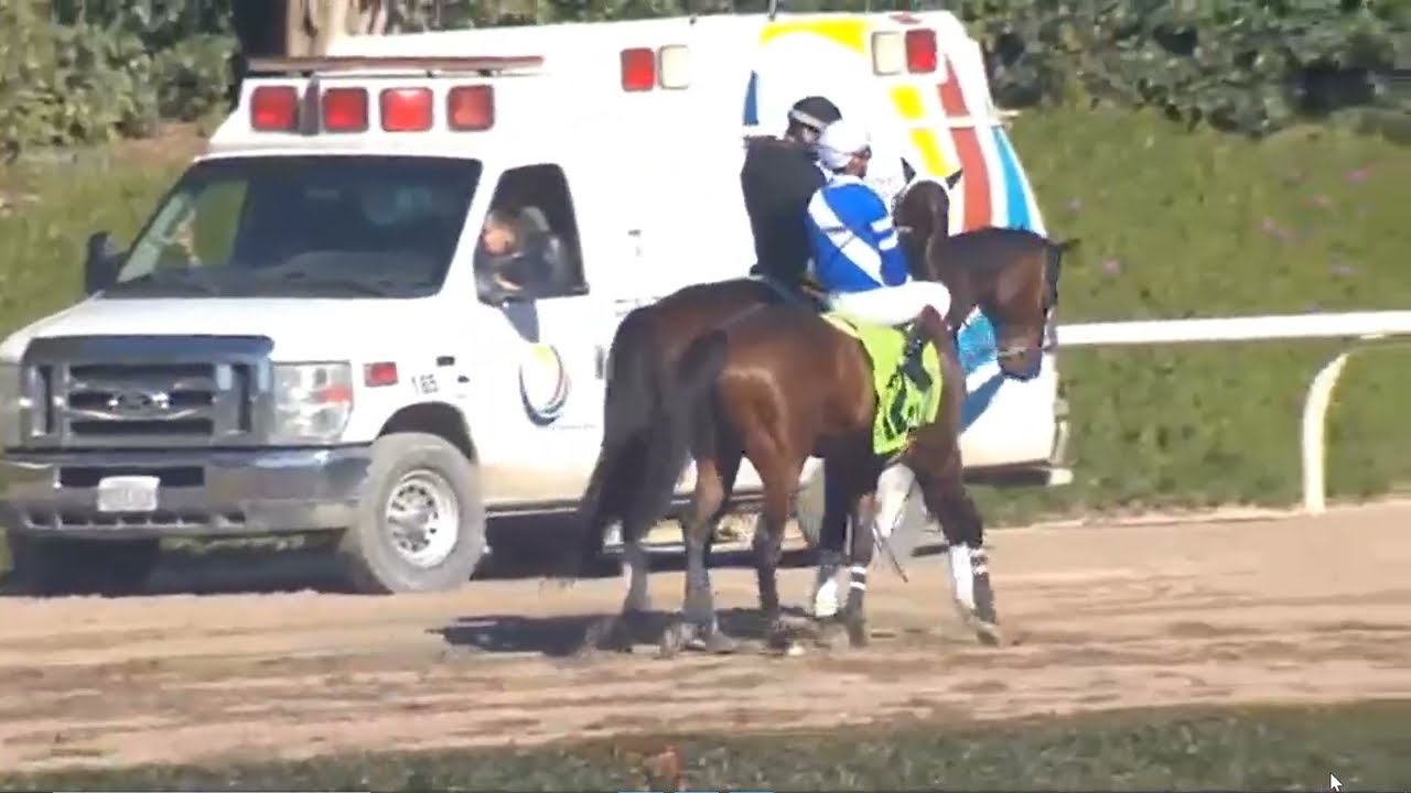 R5  Santa Anita 21 Feb 2026