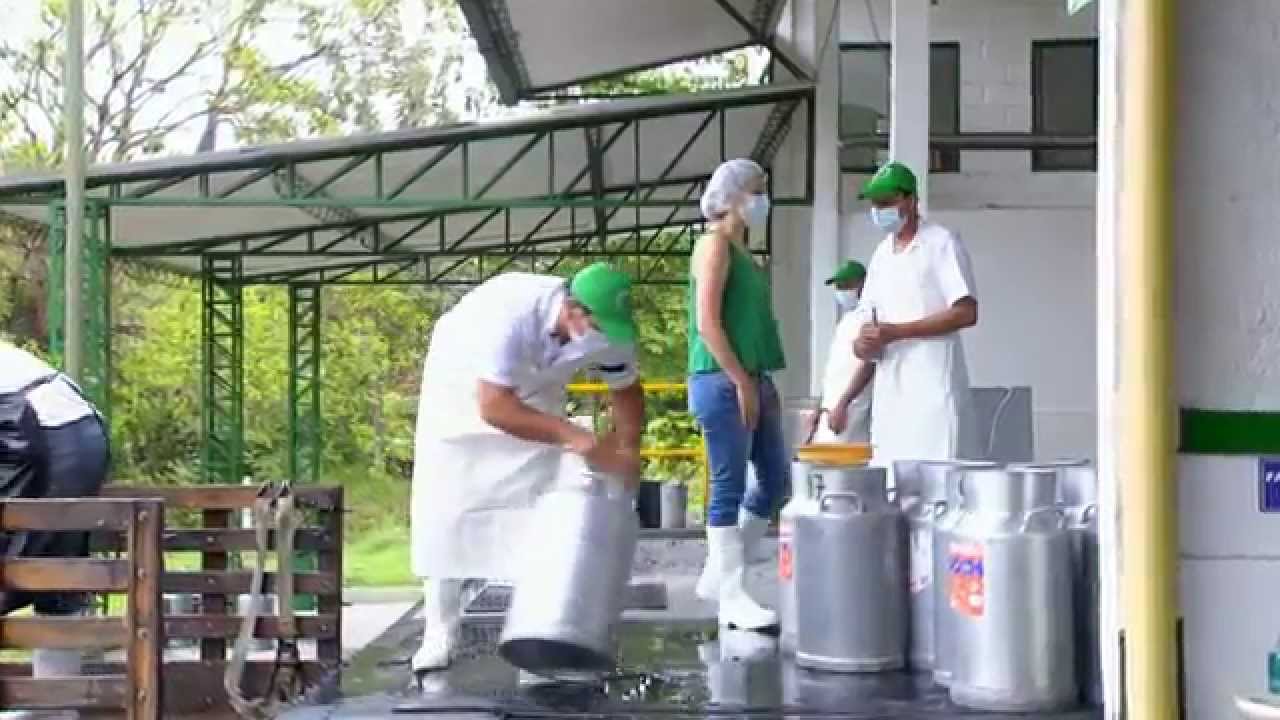 La leche, su calidad y sus productos en Escuela de Campo