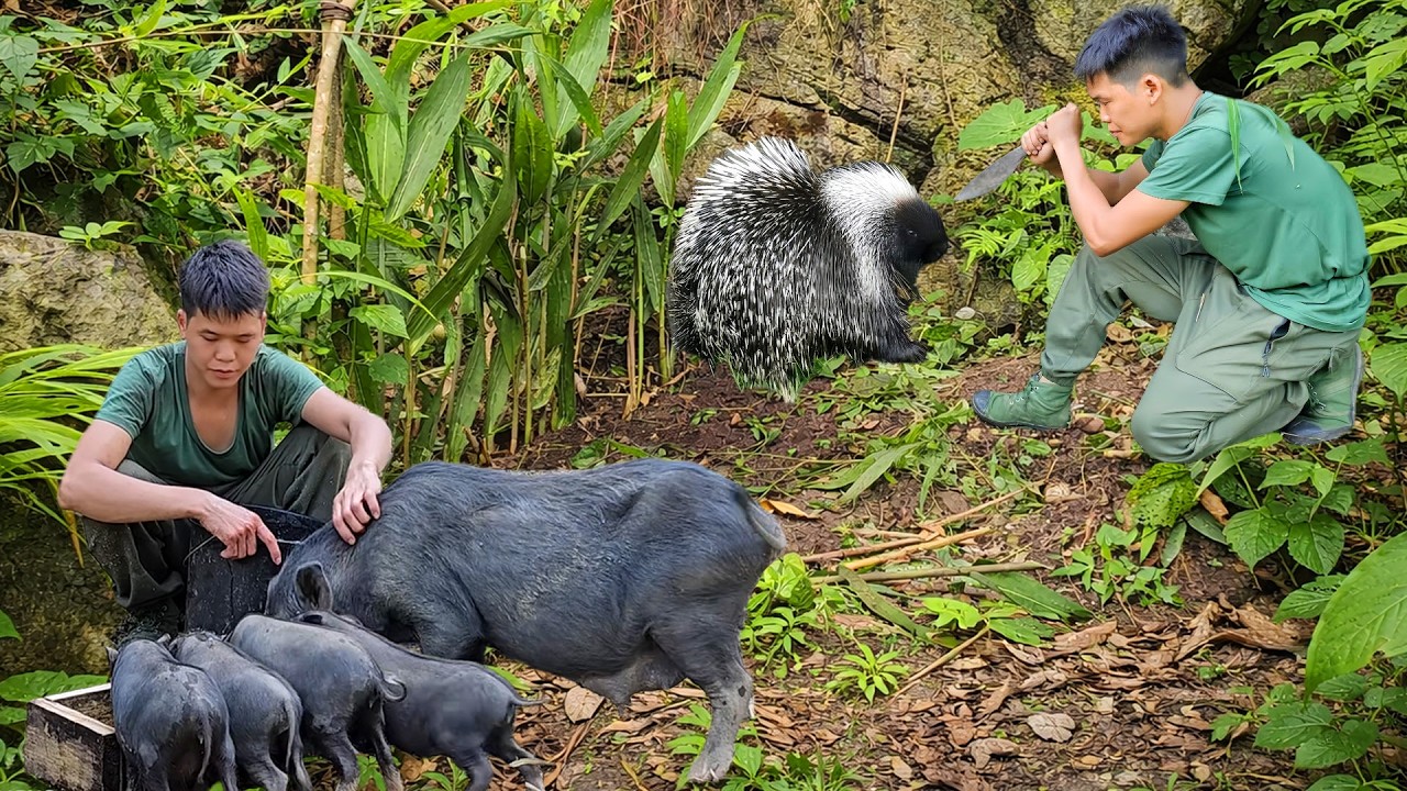 Solo Jungle Survival: Tracking Spiked Animal Prints & Building a New Forest Farm