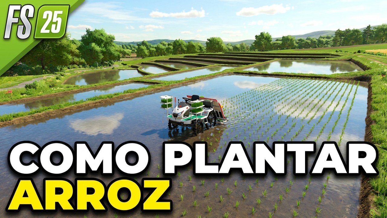 COMO PLANTAR ARROZ no Farming Simulator 25, Criação de Tanques, Irrigação, Plantio e Colheita