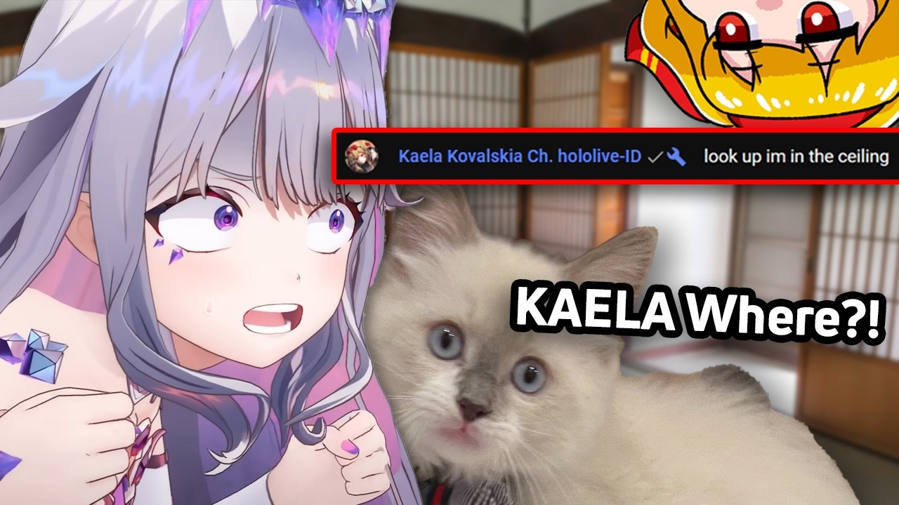 Biboo's cat tried looking for Kaela after Biboo mentions her name【Hololive】