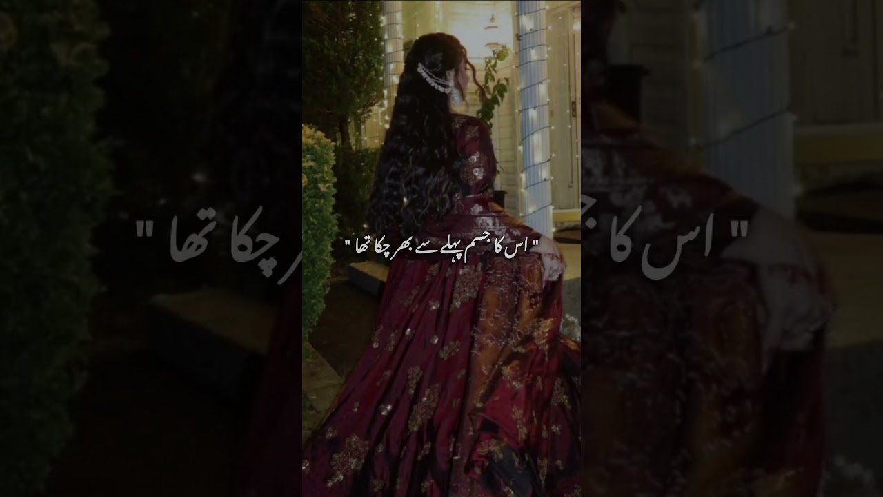 Novel : Humsafar by Nafs||Urdu Novel lines||Novelines||