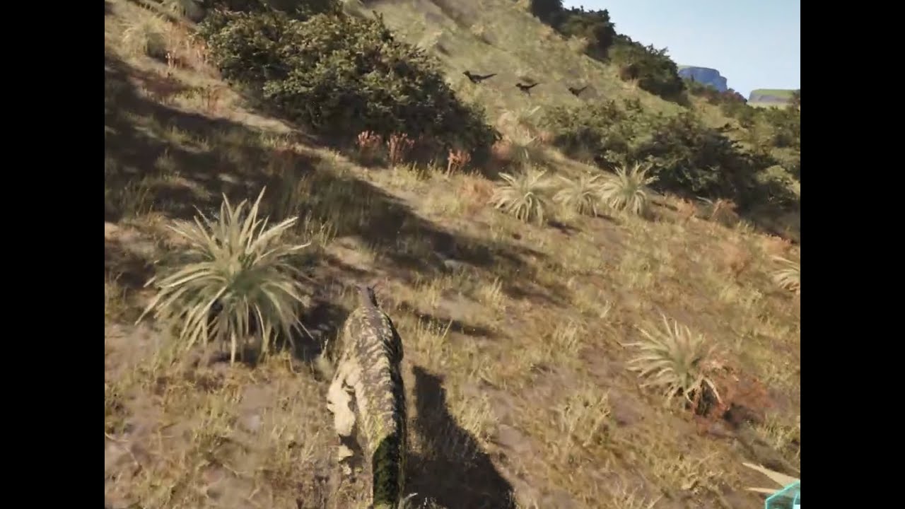 Solo Carno Journey to max mutations on Petits Pieds 4