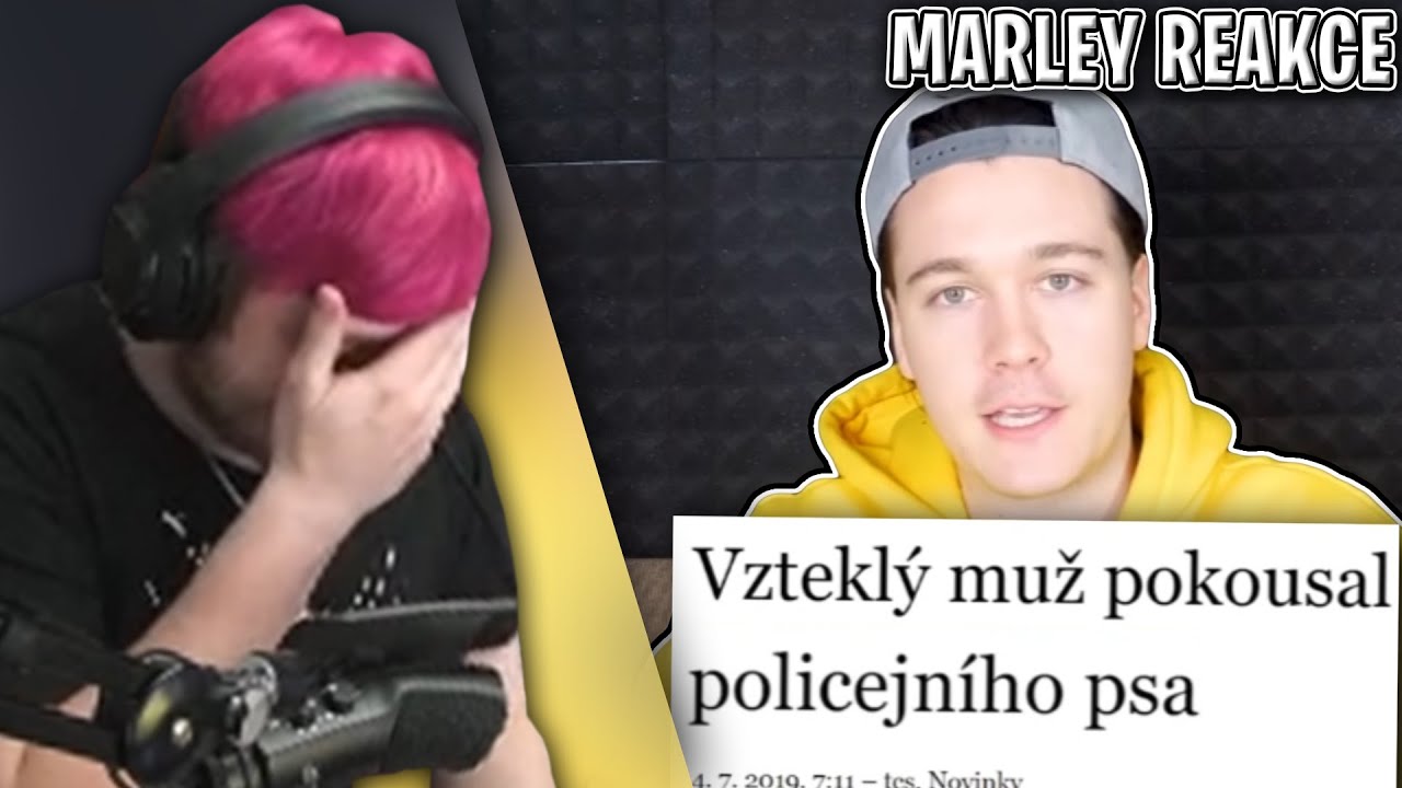 NEUVĚŘITE, CO VŠECHNO JSOU NOVINÁŘI SCHOPNÍ NAPSAT... | Morry
