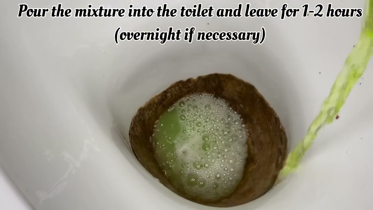How to clean the toilet from HORRIBLE limescale and urinary stones?😱