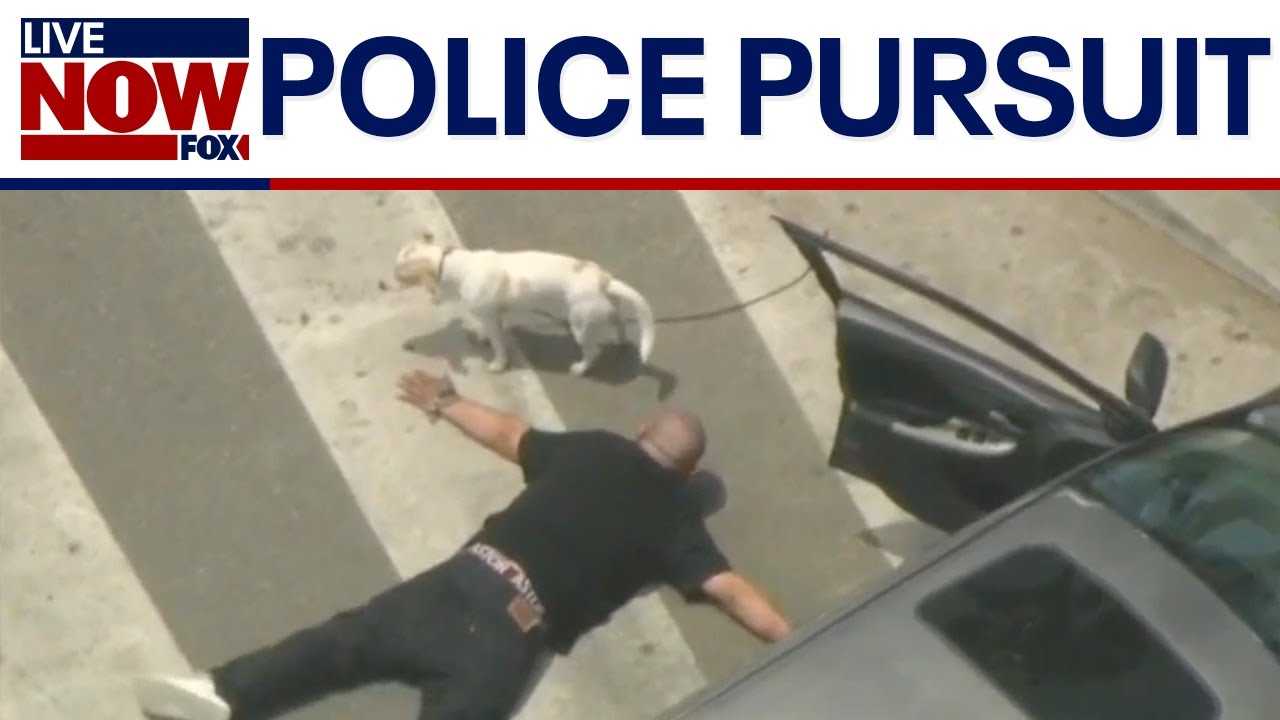 Man with dog in custody after high-speed chase ends near Santa Monica Pier
