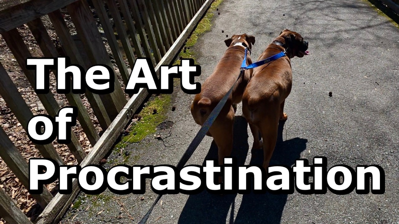 The Art of Procrastination