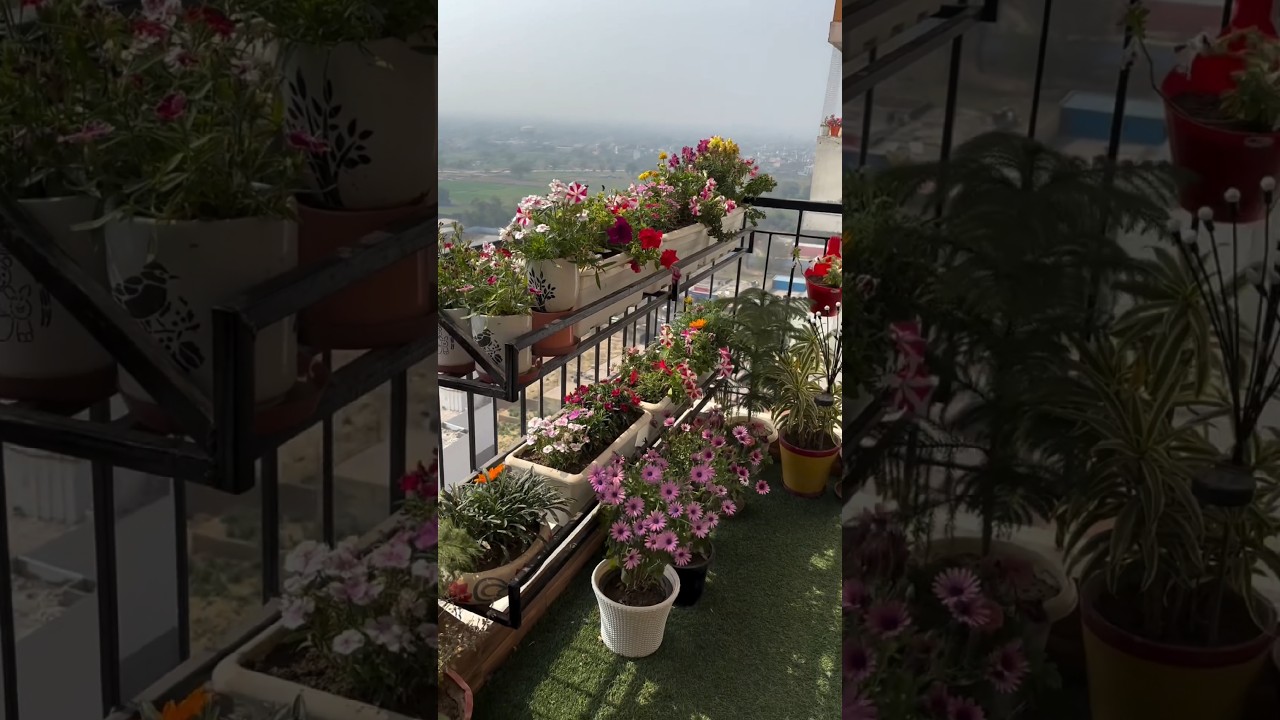 Best Balcony Decor Ideas 2025: Home Interior Design 2025