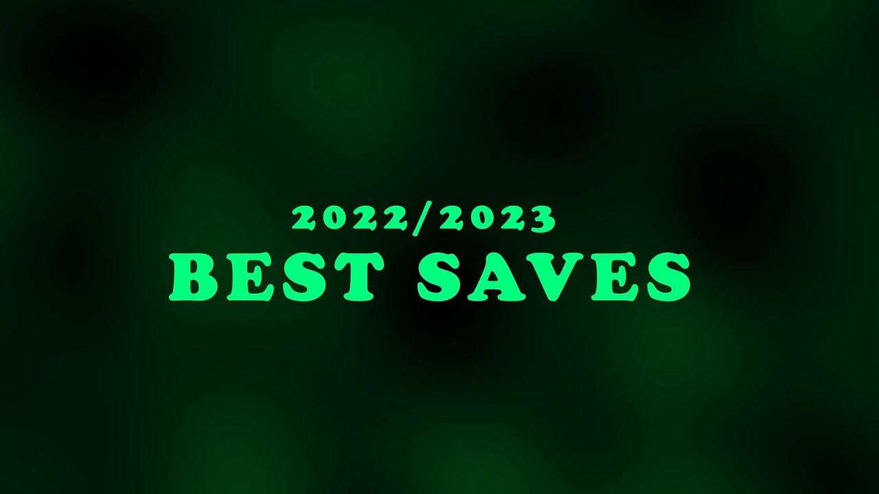 Best Saves 2022/2023