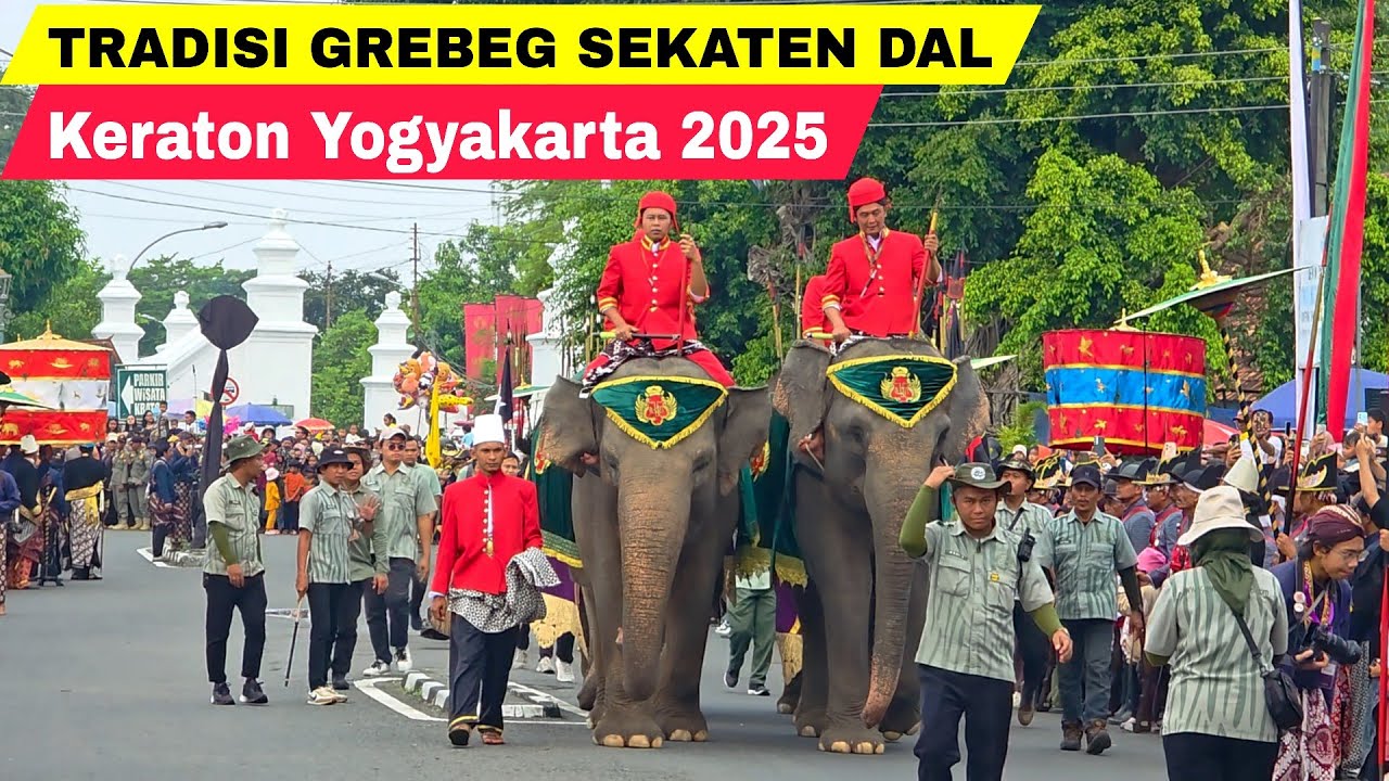 GREBEG MAULUD DAL KERATON YOGYAKARTA 2025 TRADISI SEKATEN | WISATA JOGJA TERBARU