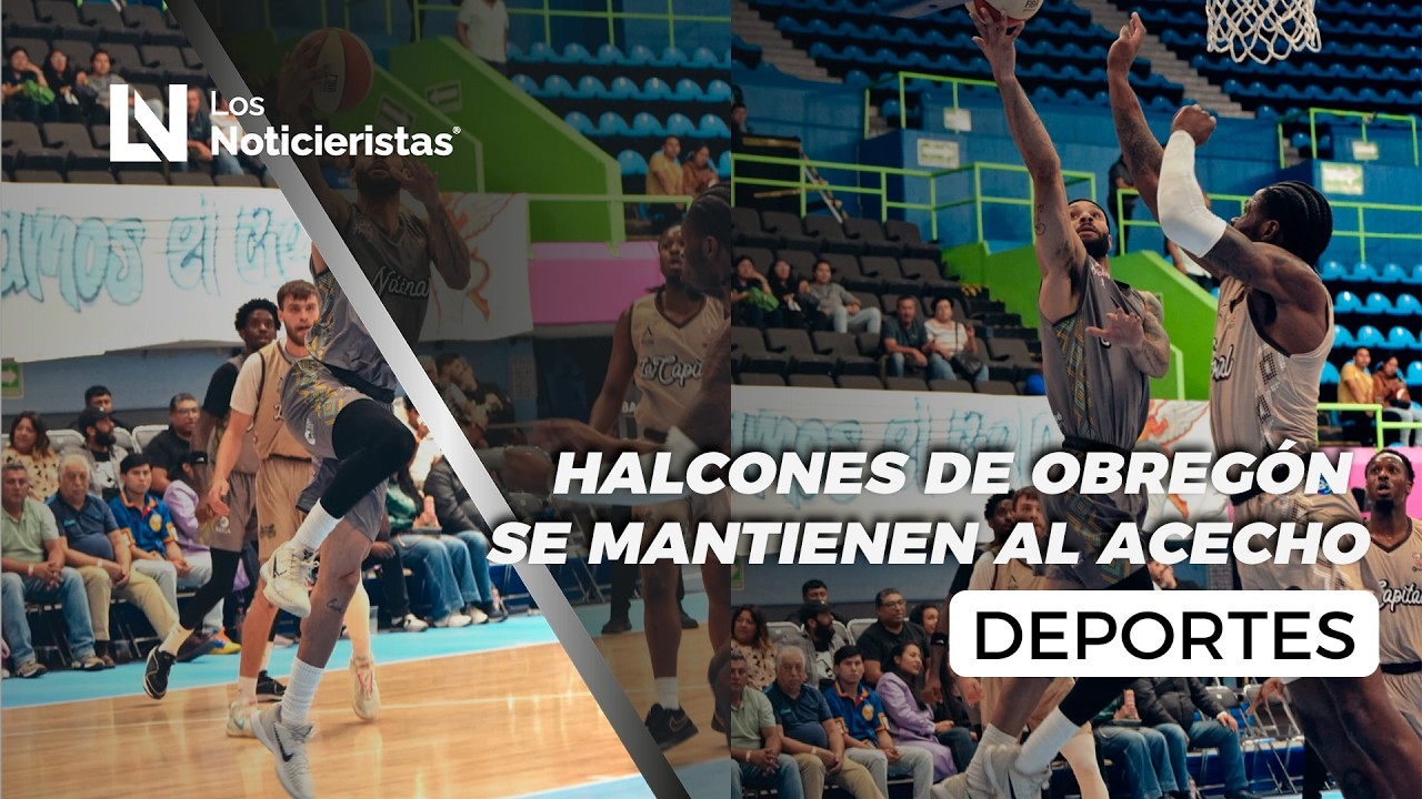 Halcones de Obregón se mantienen al acecho