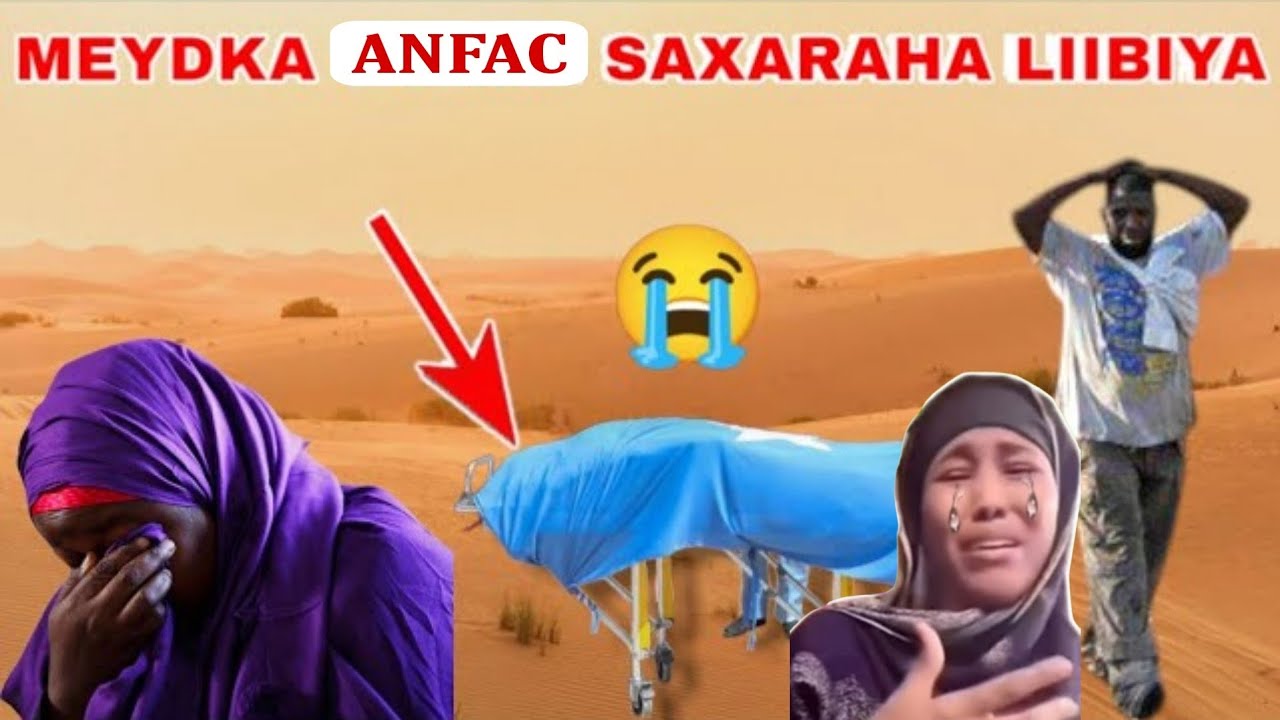 DEG DEG ANFAC OO LAXAQIIJIYAY IN MAGAFE LIIBIYA KUDILAY MEYDKEDA LASO HELAY & SOMALIDII OO UKACDAY..