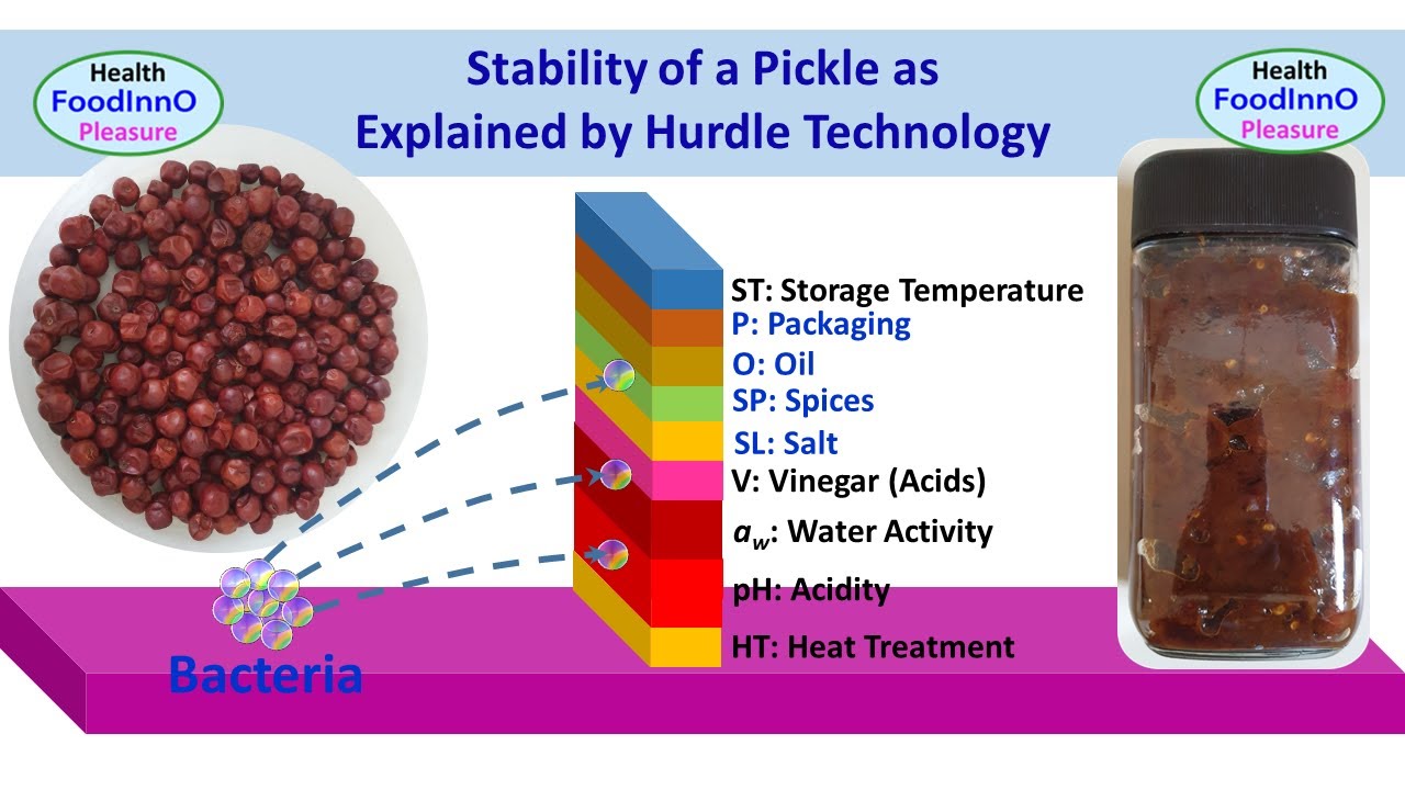 Hurdel Technology Explained in Pickle