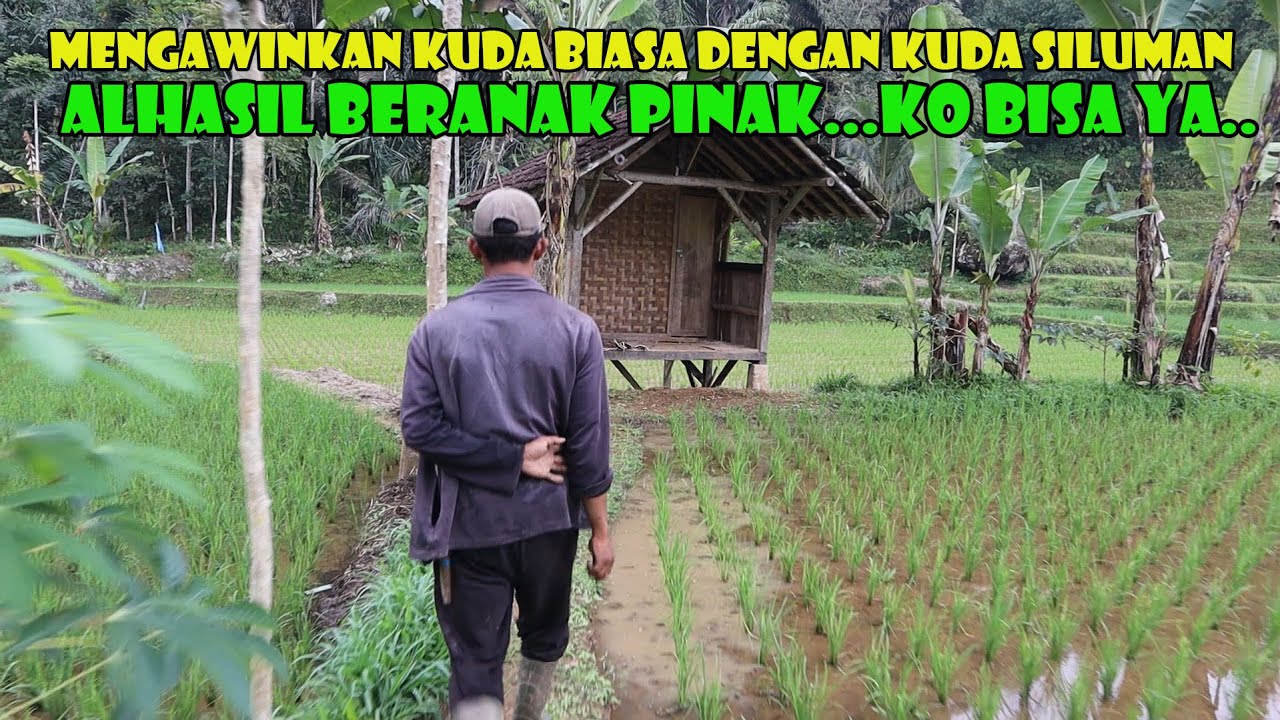 Legenda Desa Batukuda 