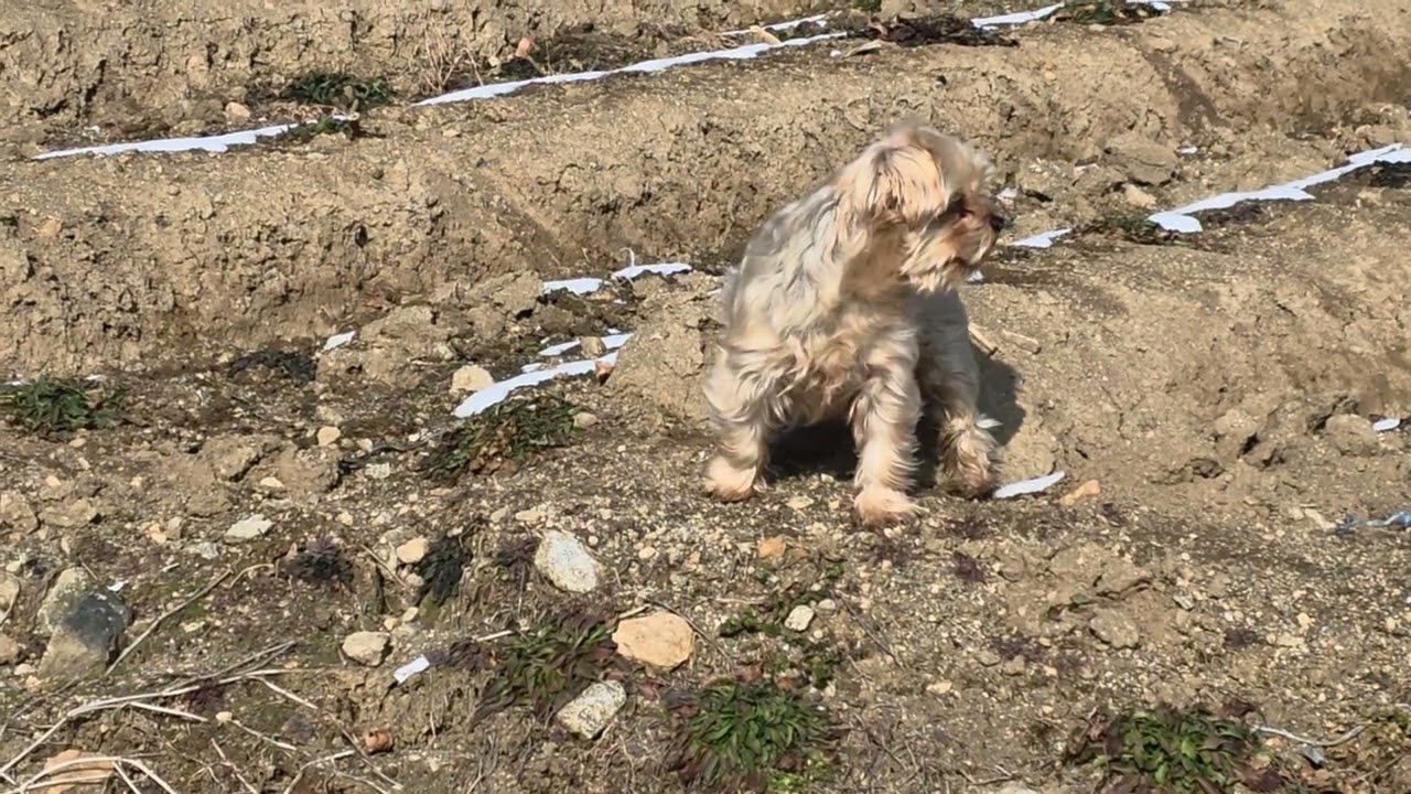 여기선 니들이 대장