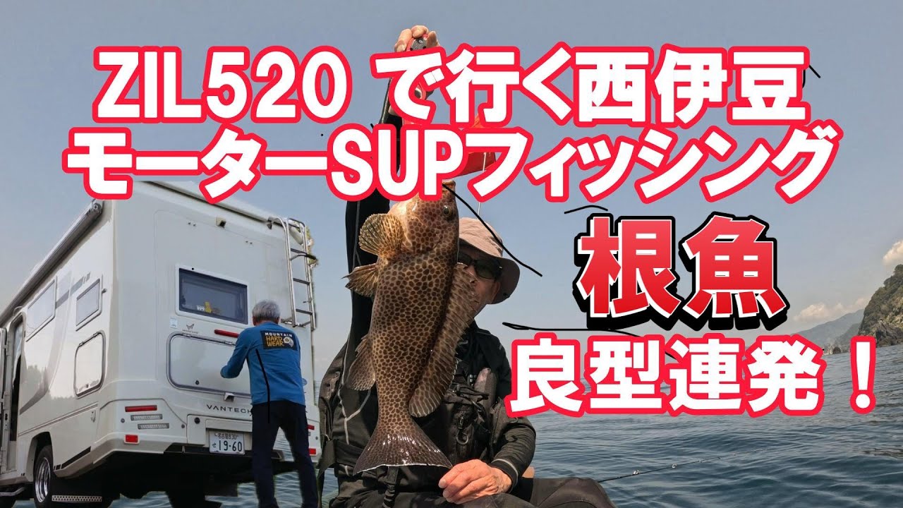 良型ハタ連発！ZILで行く西伊豆モーターSUPフィッシング