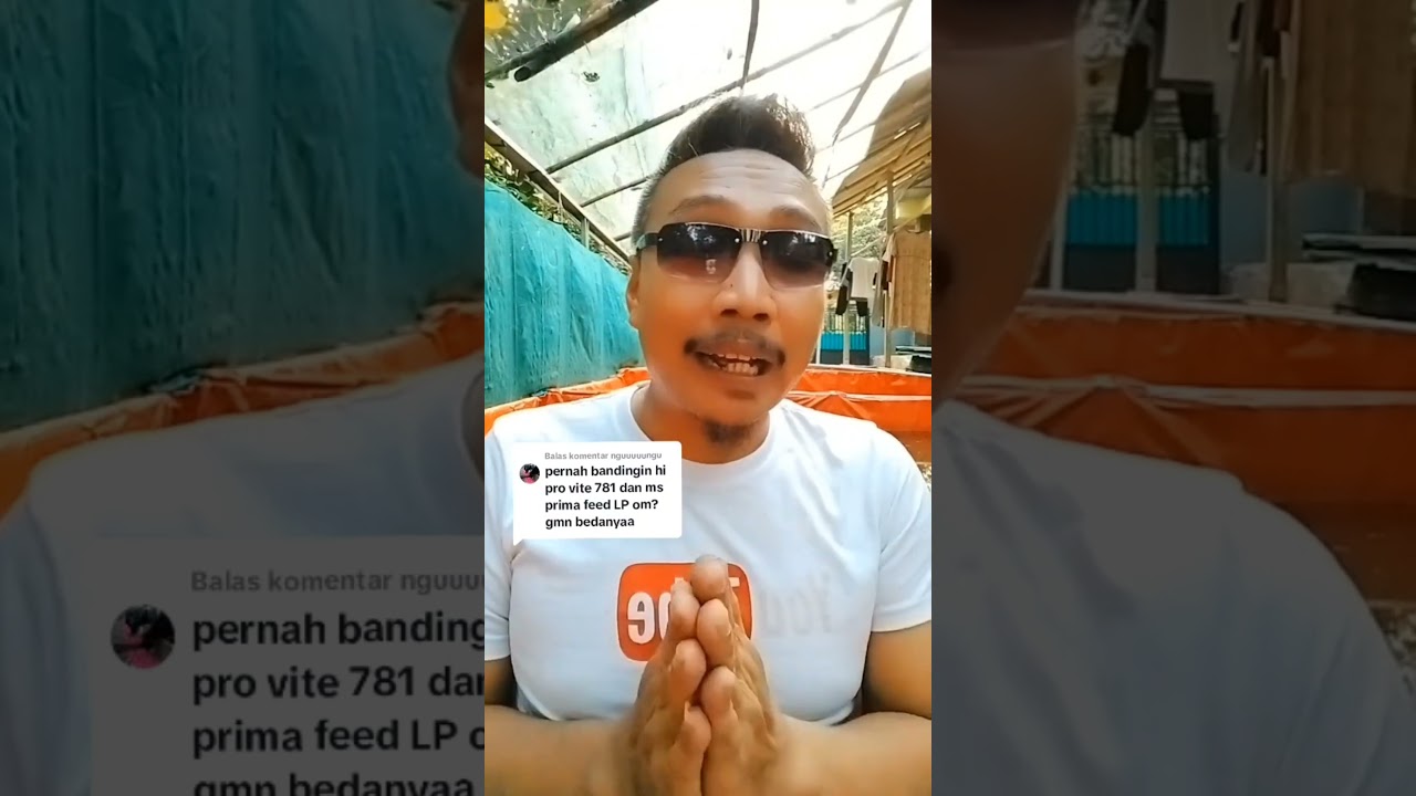 Perbedaan pakan HI-PRO-VITE vs MS Prima feed LP❗Bagaimana pengalaman kalian tentang 2 pakan ini❓