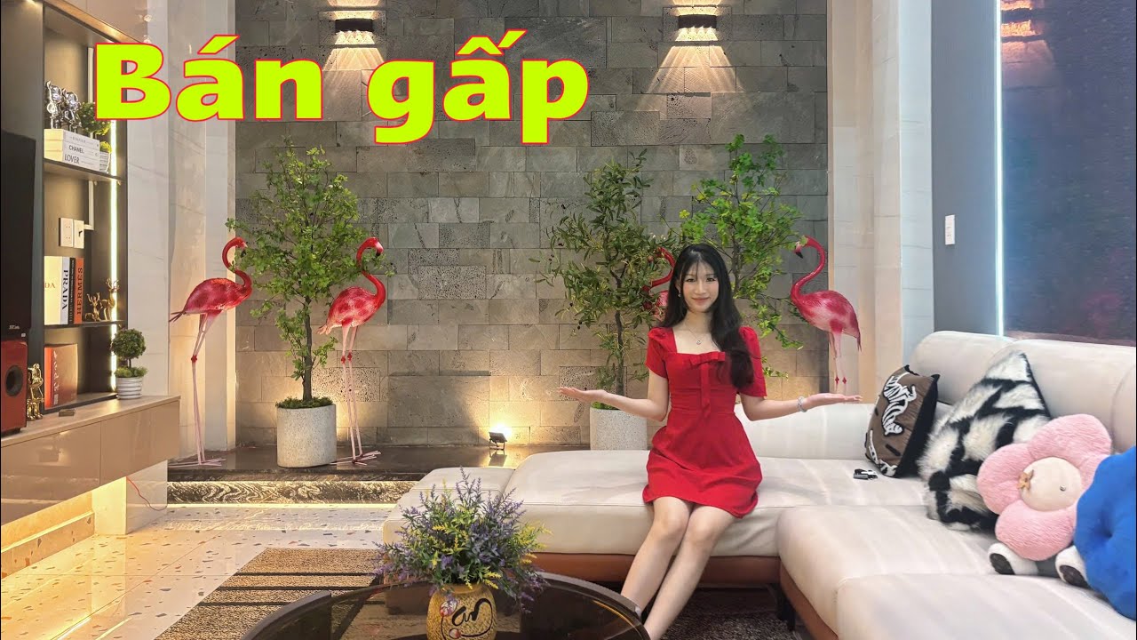 Chủ nhà định cư Mỹ bán gấp Siêu phẩm chân dài đường thông 8m thang máy đẹp xỉu 