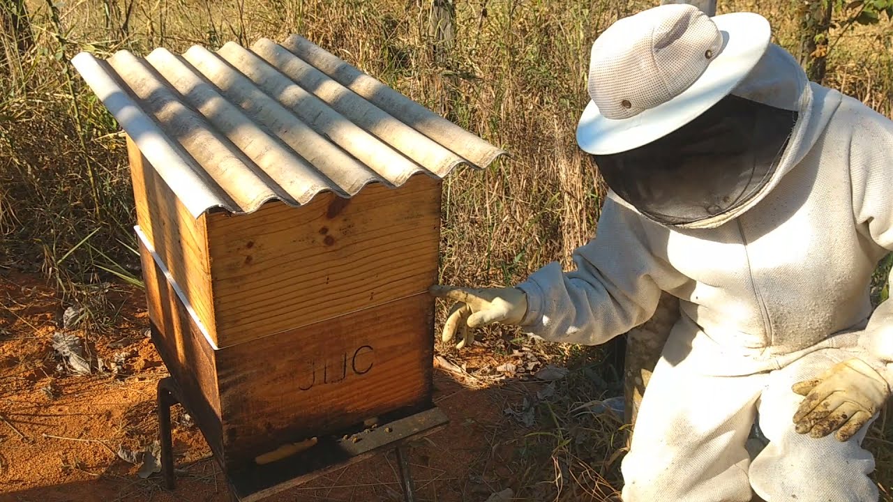 DEMARRÊ INVERTIDO/ FAVOS TORTOS - Resultado😱🐝