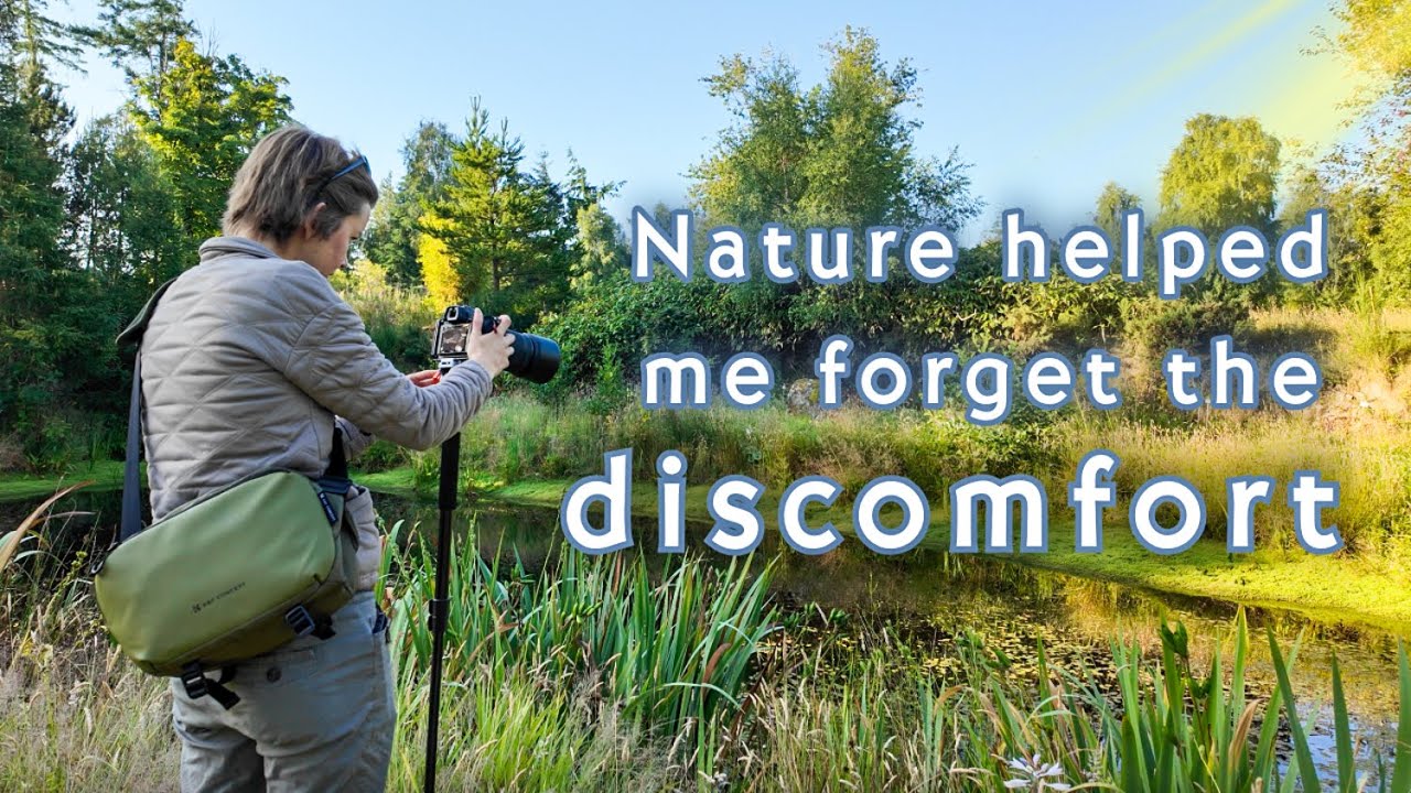Quieting the Mind with Early Morning Nature Photography