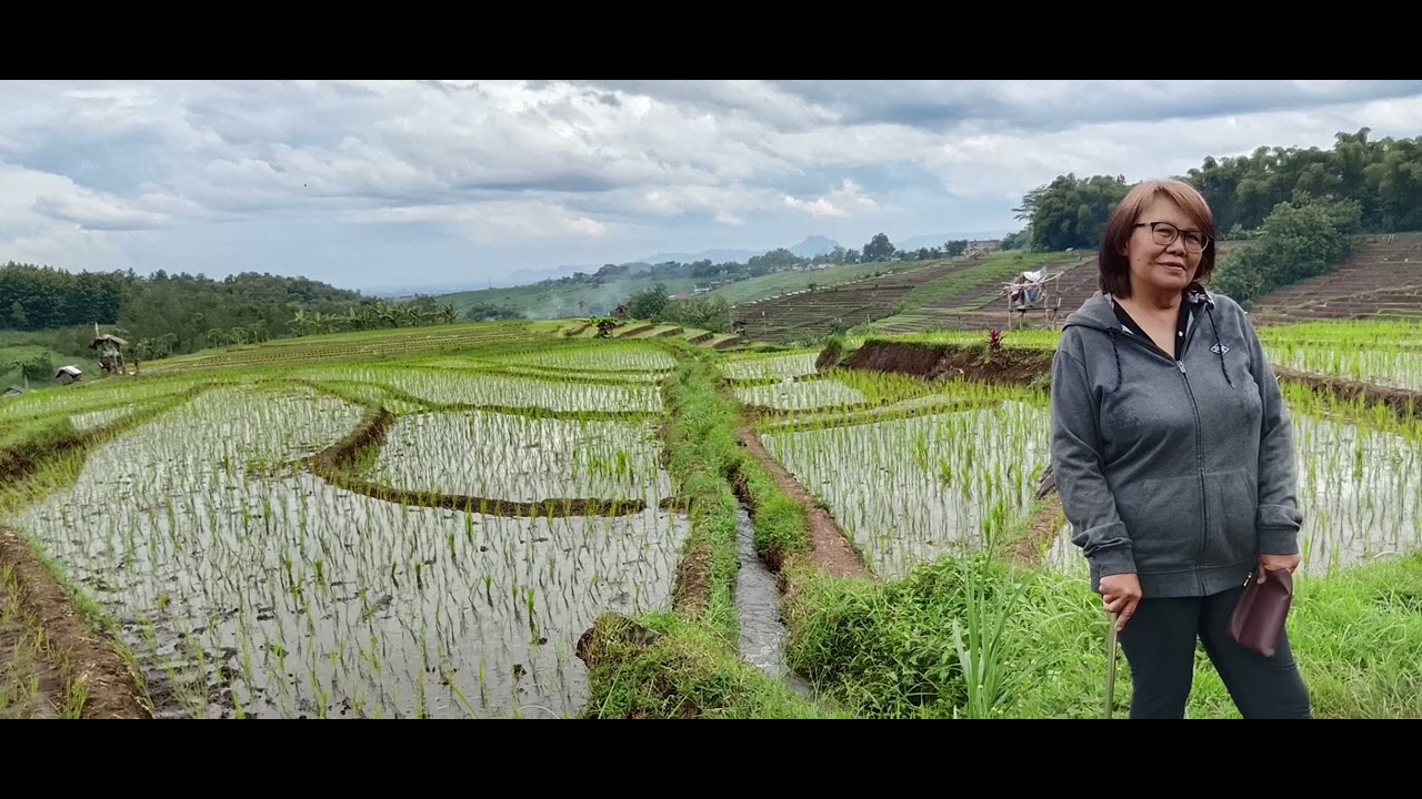 Sejuknya Alam Pegunungan Wonorejo, Tulungagung, jatim#nature#traveling#