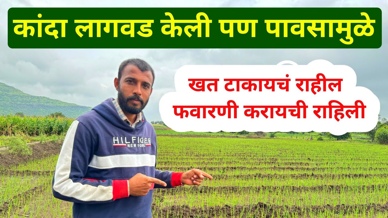 कांदा खत नियोजन कांदा फवारणी नियोजन | kanda khat vaysthapan | kanda favarni | milind bhor 