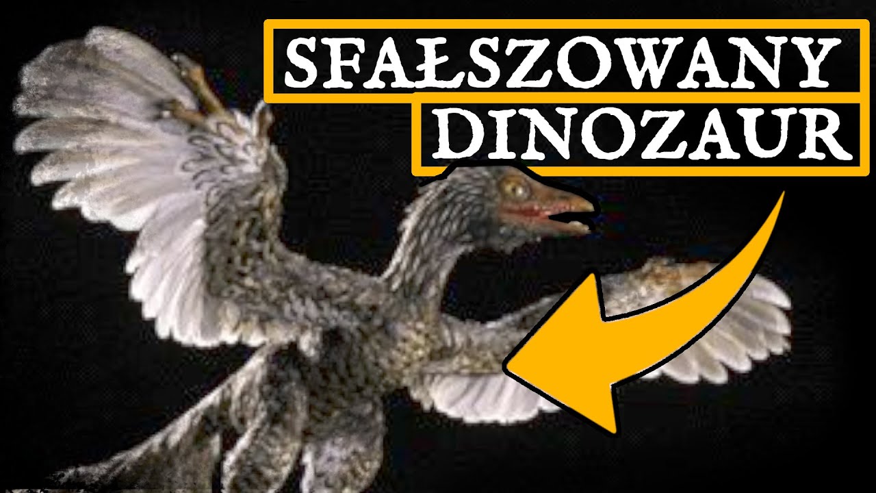 Archaeoraptor - historia sfałszowanego dinozaura