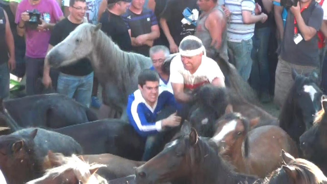 Rapa das bestas, Sabucedo. Tradici&oacute;n gallega, Espa&ntilde;a.