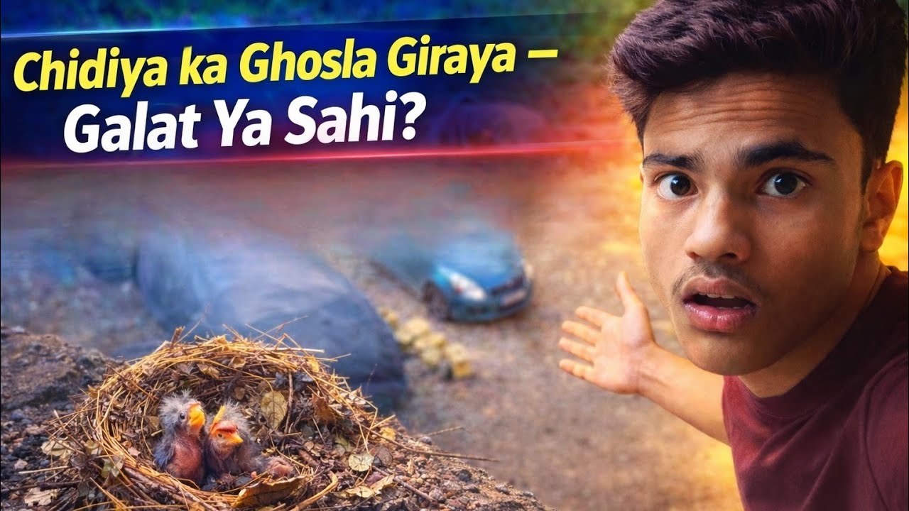 Chidiya ka Ghosla Giraya – Galat Ya Sahi?