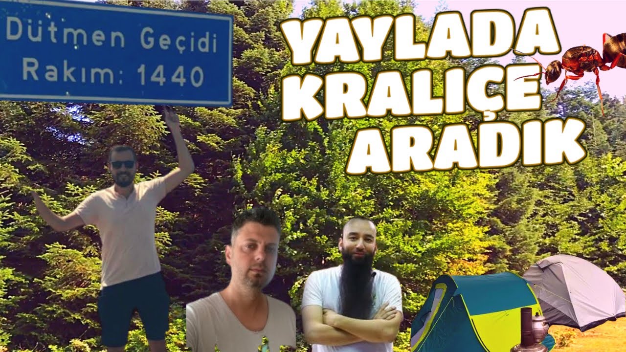 3 Kafadar Yaylada Kraliçe Arıyoruz /  @EgzotikHobi  & @doctoresaquatics & @GurabaAquatics