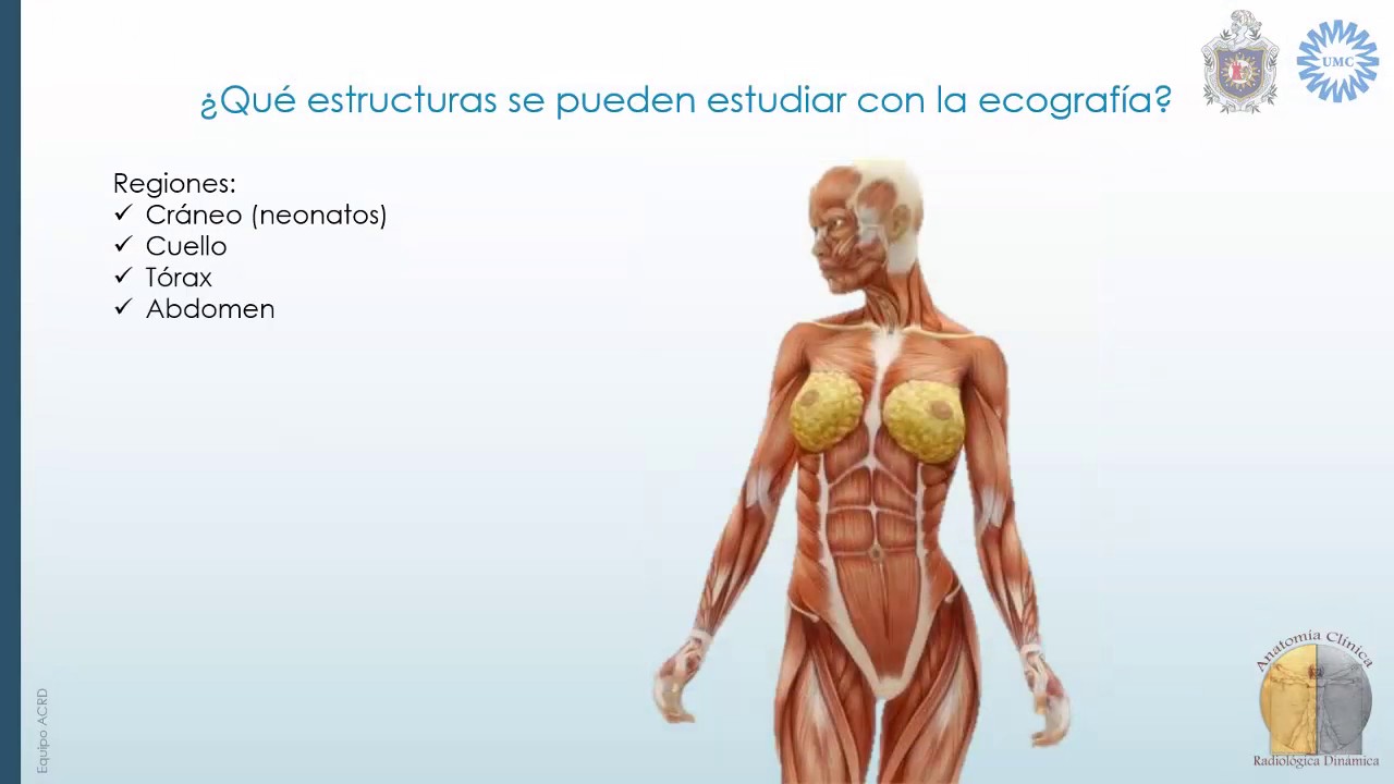 Medios diagnosticos por imagen