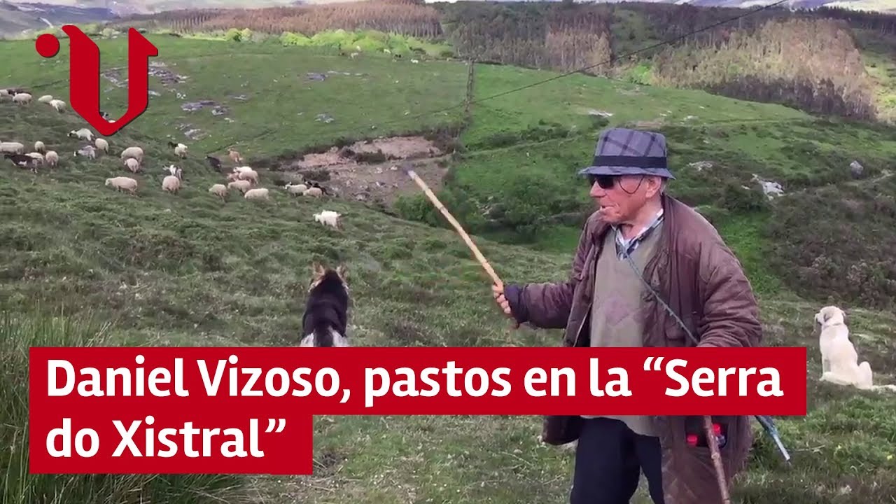 ROSTROS DE GALICIA | Daniel Vizoso, pastos en la “Serra do Xistral”