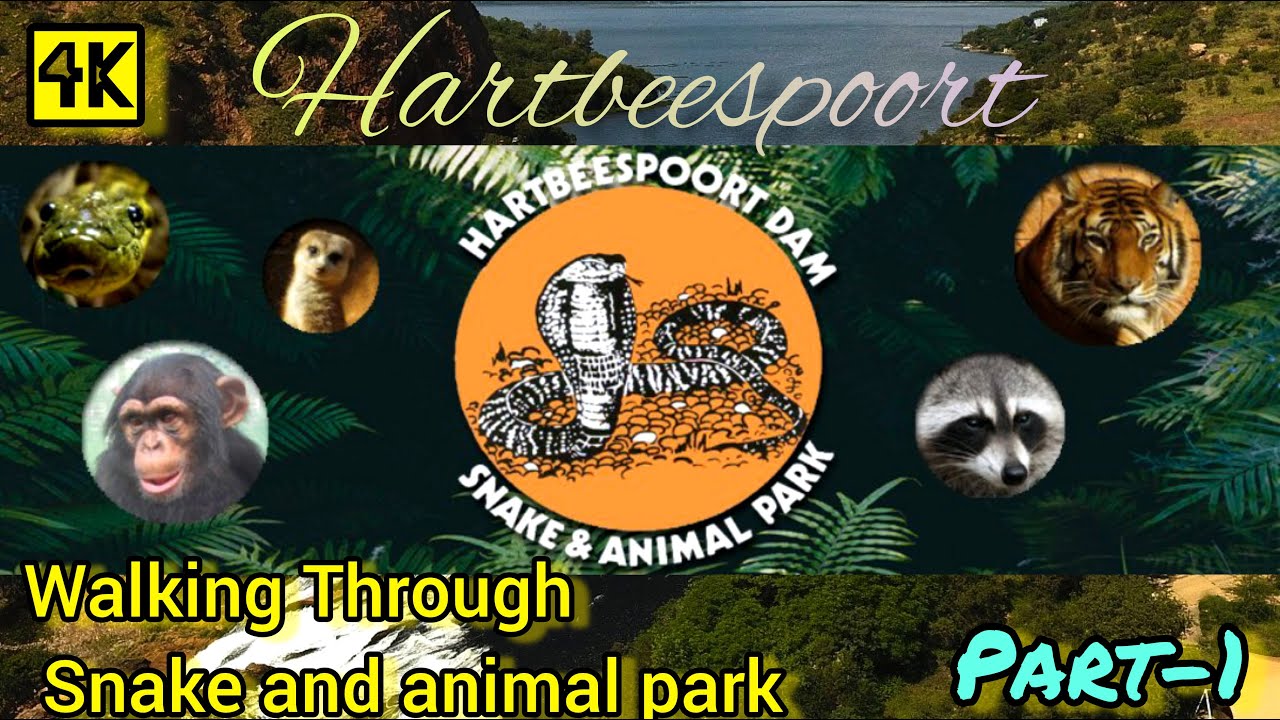 Hartbeespoort Dam Snake and Animal Park in South Africa 4k | Part-1| #southafrica #hartbeesport #4k