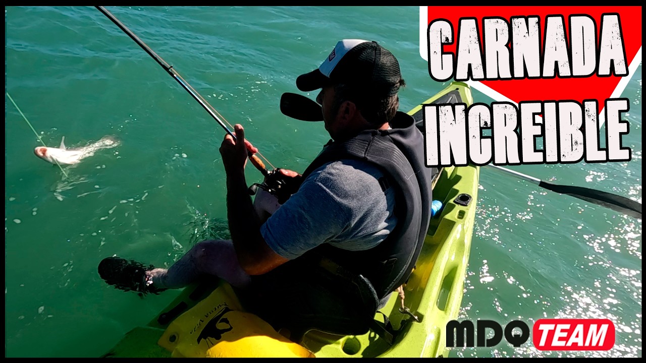 Pescando con Aberdeen Angus