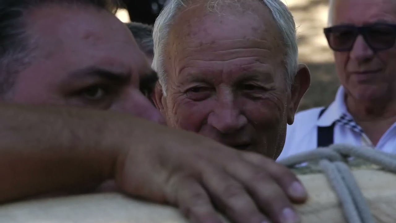 Maggi di Basilicata, Oliveto Lucano (2) [ITA] MEDITELLER