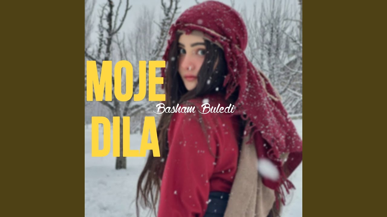 Moje Dila