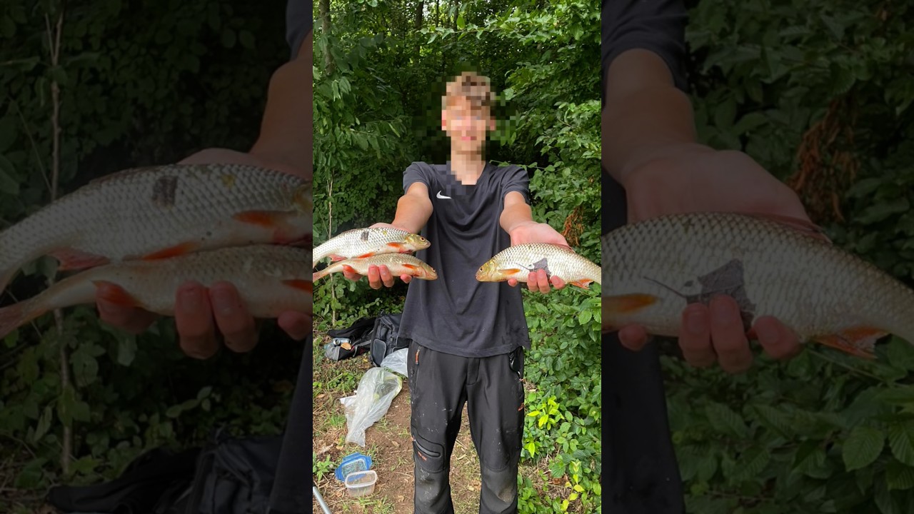Angeln auf Rotaugen #fishing #rotauge #pose #catchingfish #fyp #viral