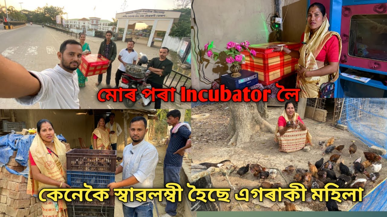মোৰ পৰা Incubator লৈ কেনেকৈ স্বাৱলম্বী হৈছে এগৰাকী মহিল| Egg Incubator |Local Murgi Farming 