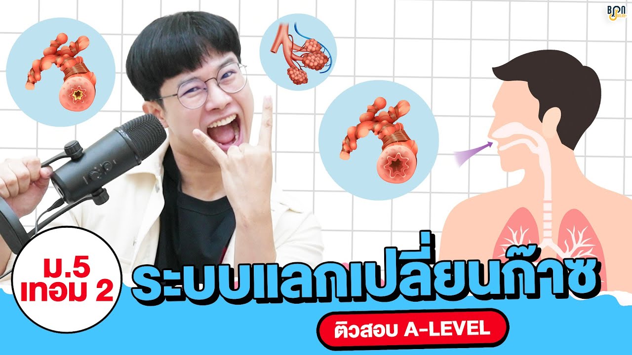 [ติวสอบ ชีววิทยา ALevel] ระบบแลกเปลี่ยนก๊าซของสัตว์และมนุษย์ ม.5 เทอม 2 พร้อมข้อสอบจริง