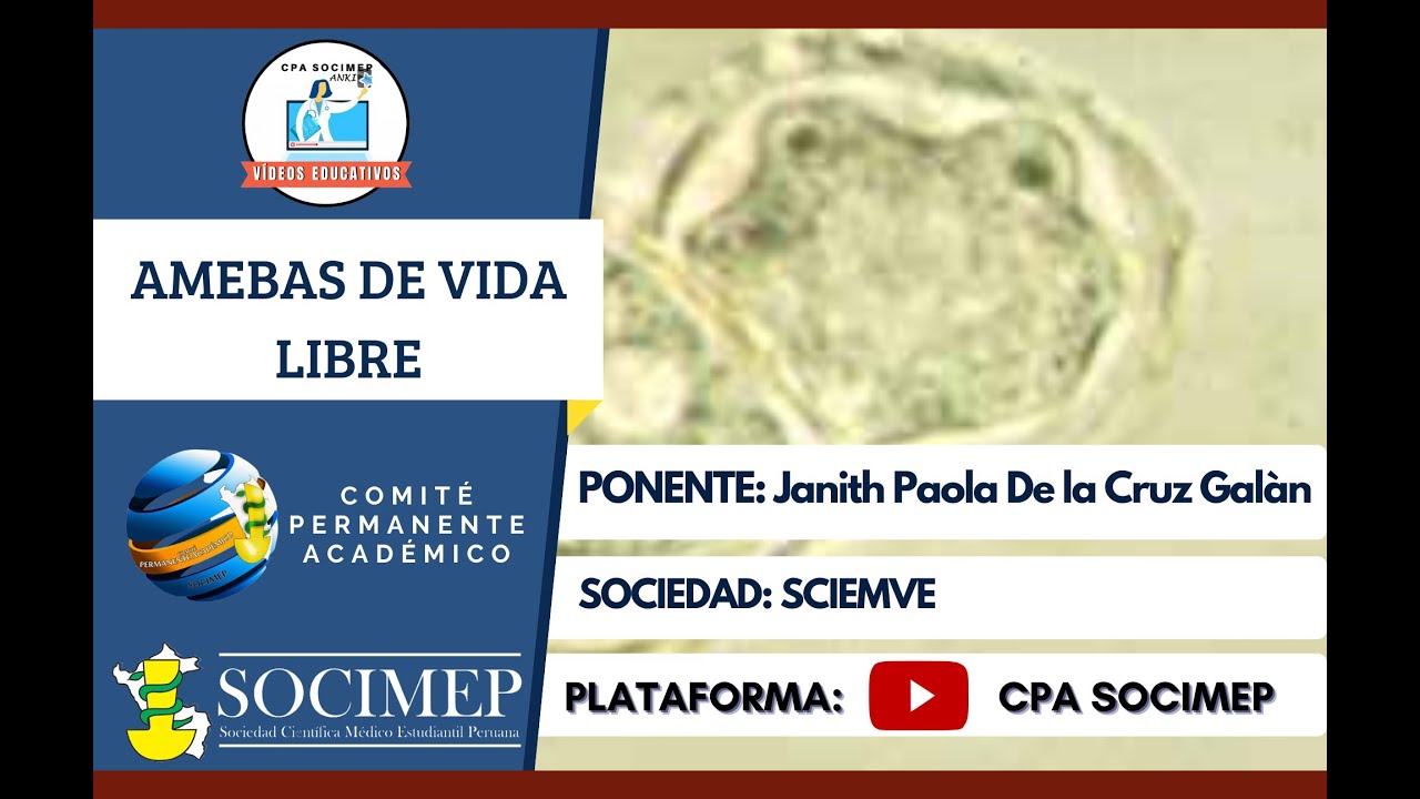 AMEBAS DE VIDA LIBRE - SCIEMVE