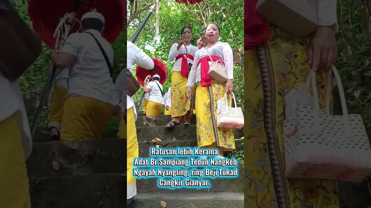 Ratusan lebih Kerama Adat Br.Sampiang Gianyar,Tedun Ngayah Nyangling ring Beji Tukad Cangkir