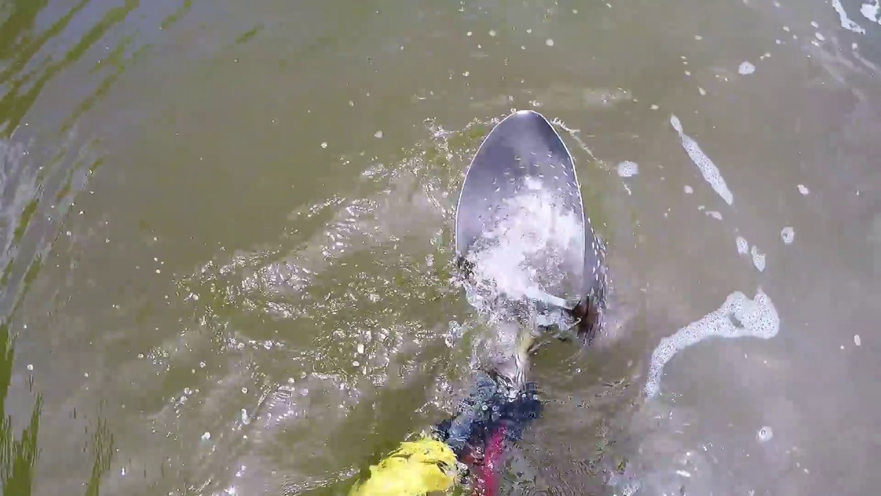 Procurando JOIAS na praia do A&ccedil;o ( Praia Nomeada por voc&ecirc;s)