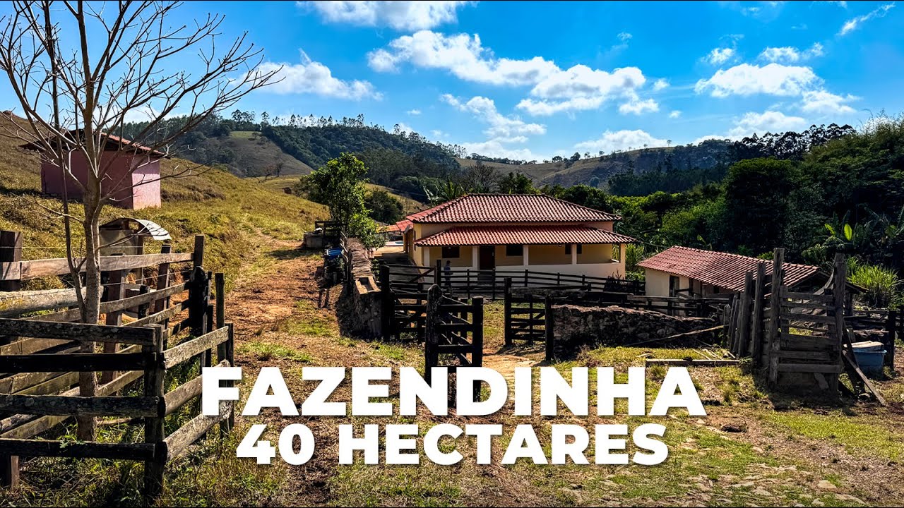 FAZENDINHA 40 HECTARES, MUITA ÁGUA, IDEAL PARA PECUÁRIA | R$ 1.700.000,00