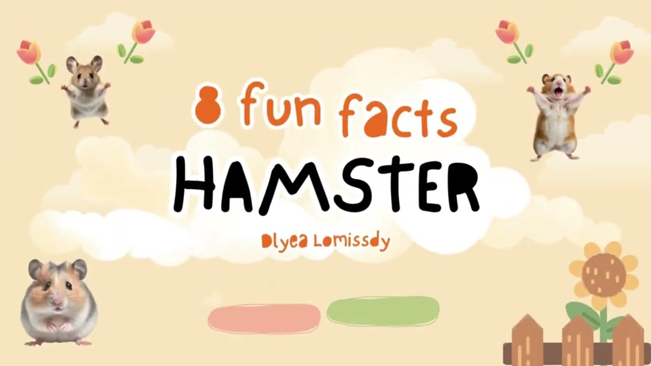 8 Fun Facts of Hamster