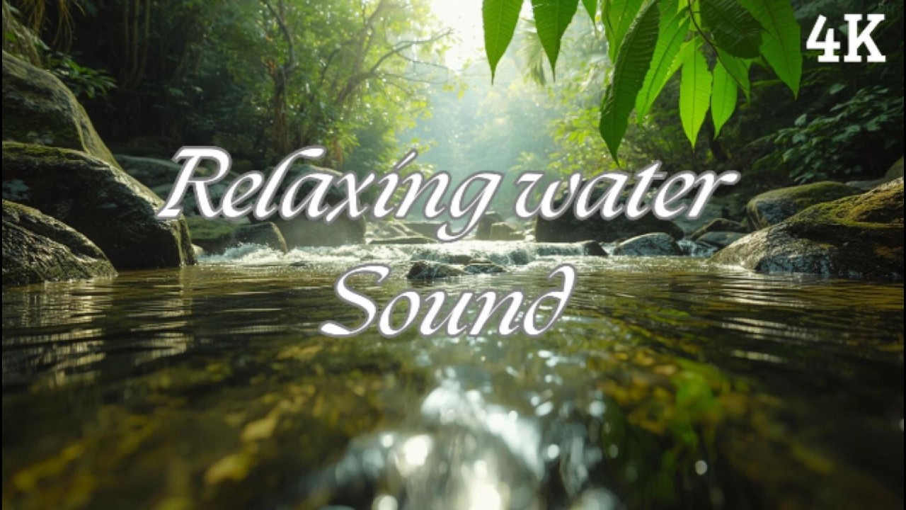 Forest River White Noise 🎧 Running Water for Focus, Study, and Work