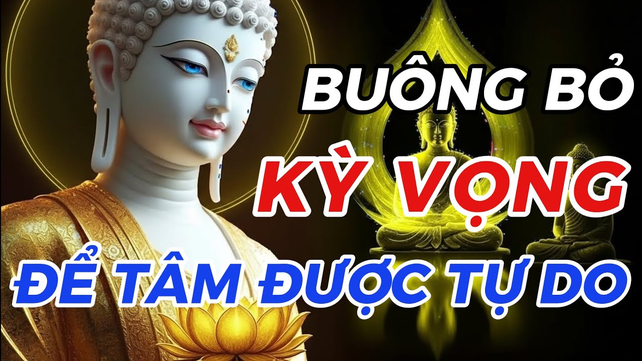 Buông Kỳ Vọng – Bớt Khổ Đau: Lời Phật Dạy Giúp Tâm Trở Nên Tự Do