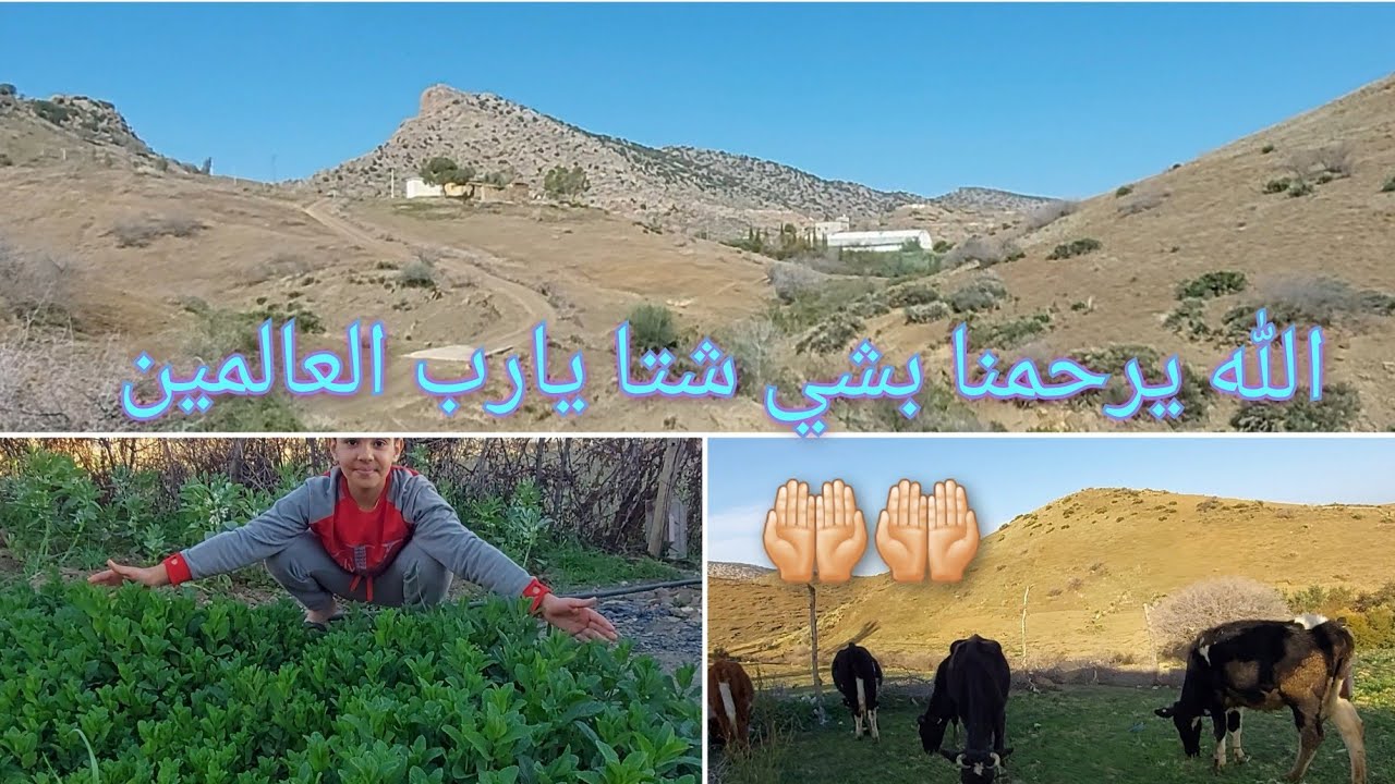 سيدي عمر نواحي خنيفرة.بلادي العزيزه🏞️ ❤️
