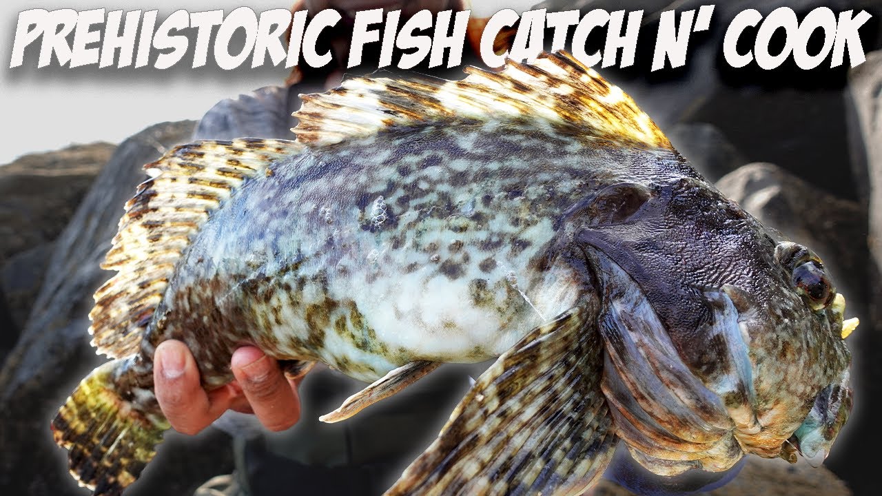 AMAZING CATCH and COOK PREHISTORIC FISH!