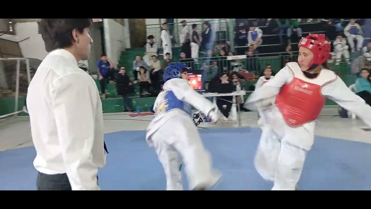 Anais silva peto azul copa viña encanta 2025